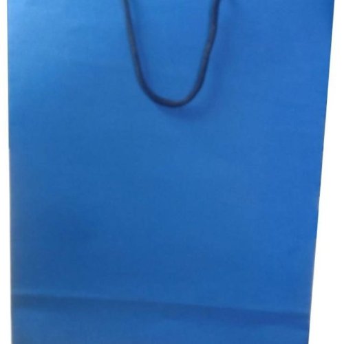 Blue Plain Paper Carry Bag
