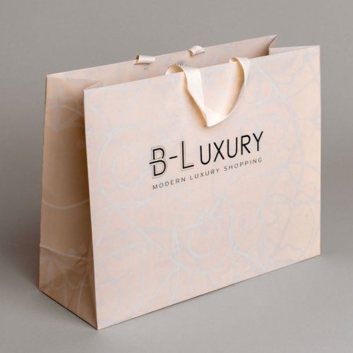 Luxury Brand Paper Carry Bag