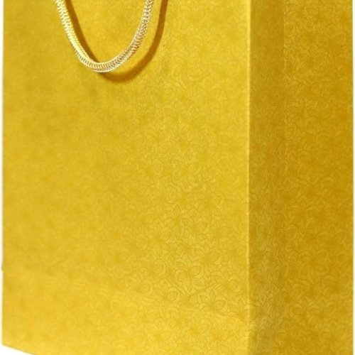 Metallic Gold Finish Paper Bag