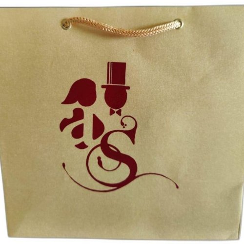 Metallic Printed Paper Bag