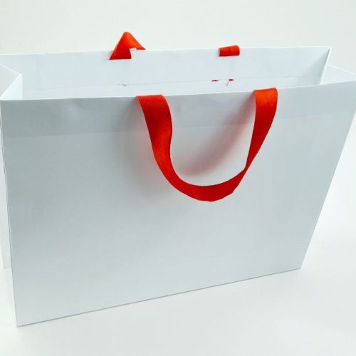 Paper Bag with Ribbon Handle
