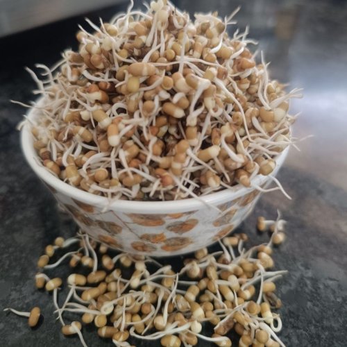 Dehydrated Moth Bean Sprouts