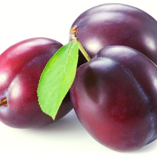 Farm Fresh Plums