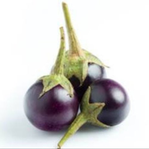 Fresh Round Brinjal