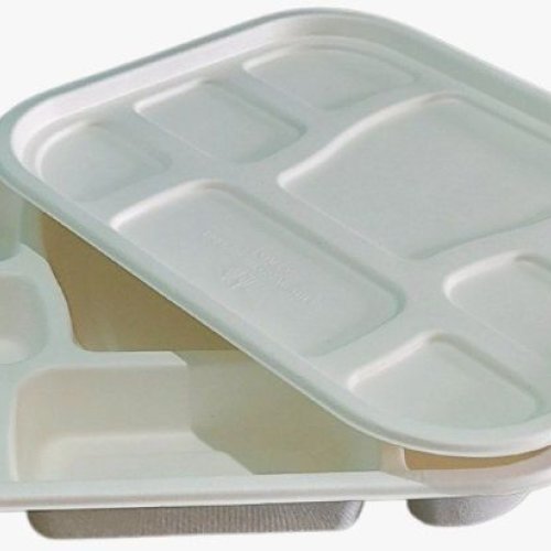 8 CP Bagasse Meal Tray