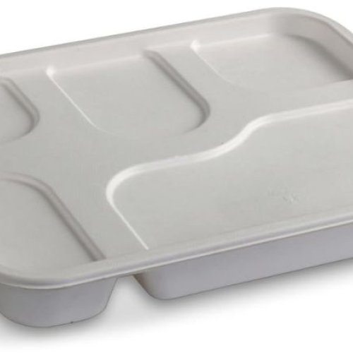 5 CP Bagasse Meal Tray