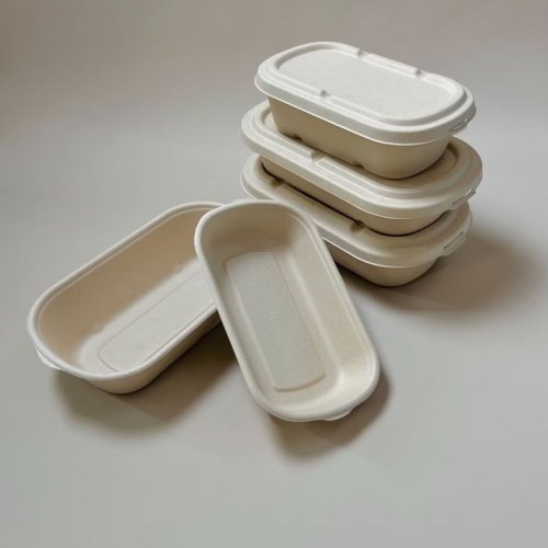 Biodegradable Sugarcane Bagasse Container with Lid