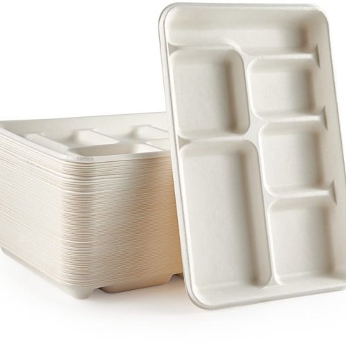 Disposable Bagasse Compartment Plate