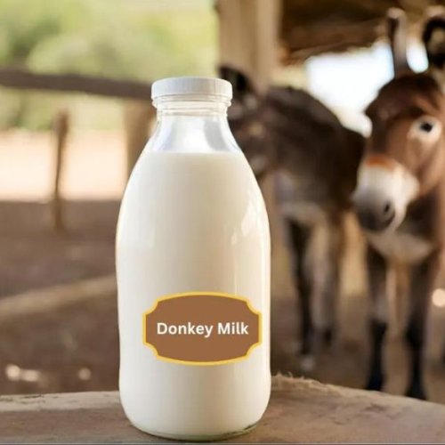 Fresh Donkey Milk