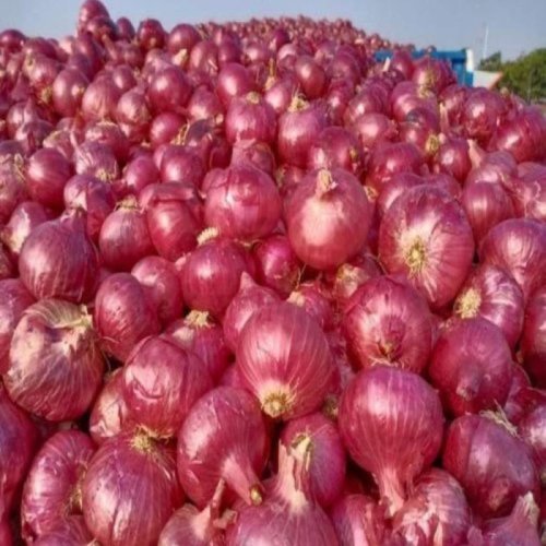 Fresh Red Onion