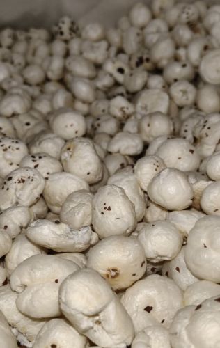 5 Sutta Phool Makhana