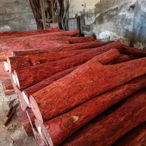 Red Sandalwood Logs