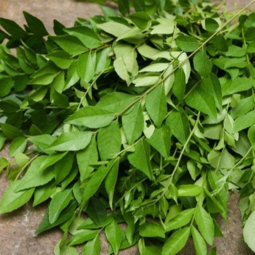 Aromatic Curry Leaves