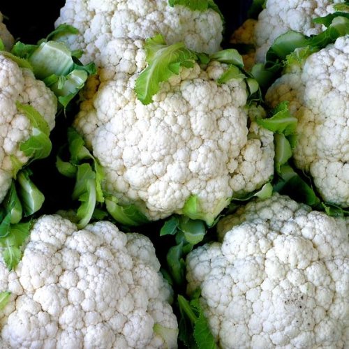 Fresh Farm Cauliflower