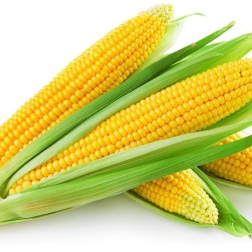 Sweet Corn COB