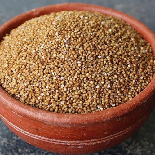 Kodo Millet Seeds
