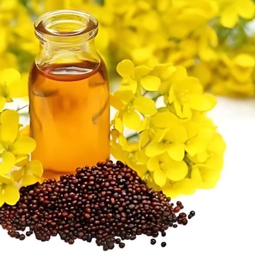 Mustard Oil