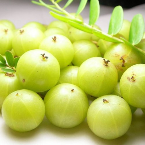 B Grade Amla