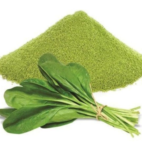 Dehydrated Spinach Leaves Powder