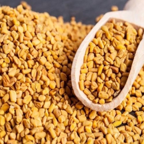 Yellow Fenugreek Seeds