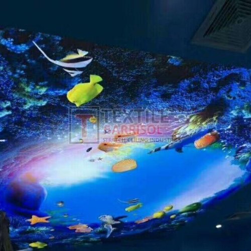3D Aqua Stretch Ceiling