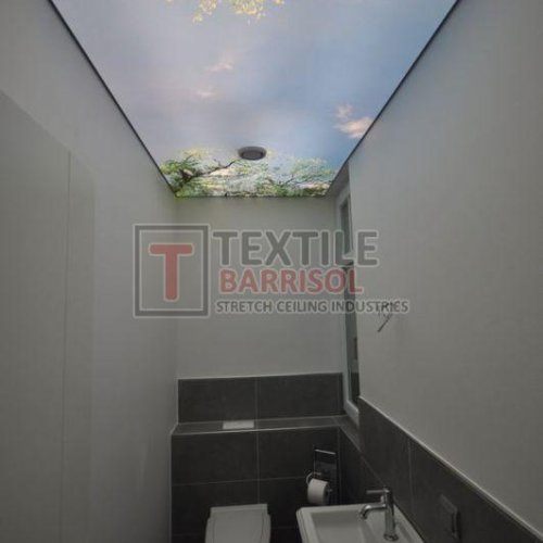 3D Bathroom Stretch Ceiling