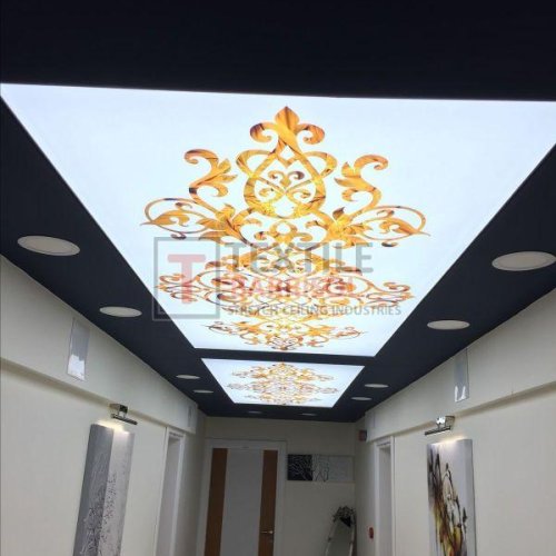 3D Royal Stretch Ceiling