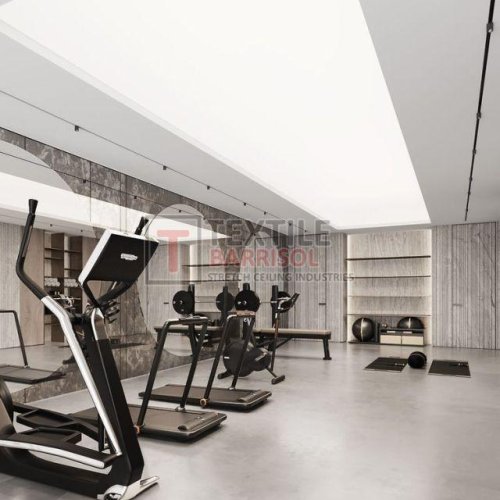 Textile Gym Stretch Ceiling