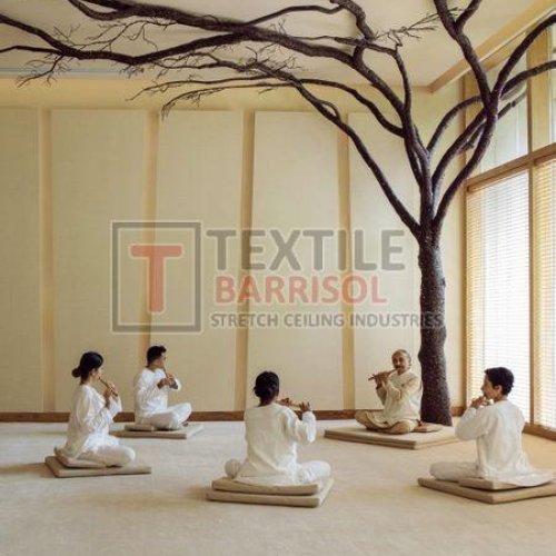 Yoga Center Stretch Ceiling