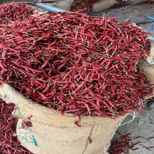 Dry Red Chilli