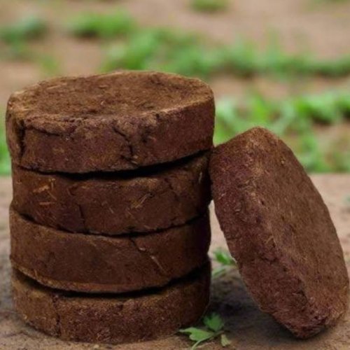 Cow Dung Cake