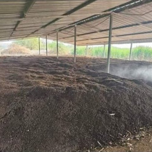 Vermicompost Fertilizer