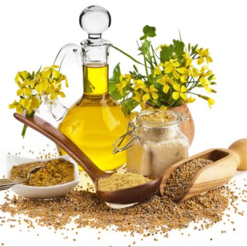 Pure Virgin Mustard Oil