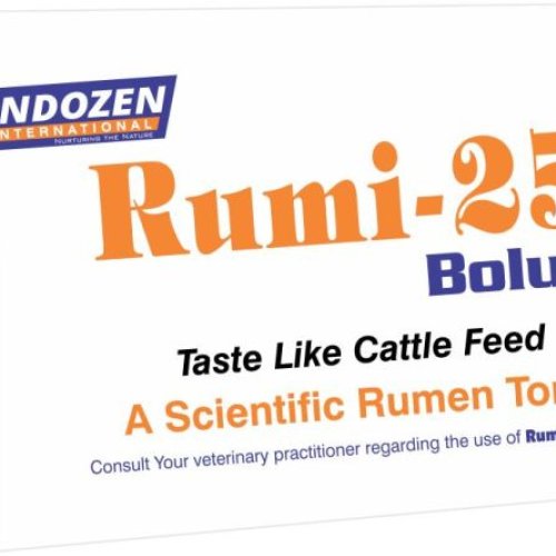 Rumi-25 Veterinary Bolus