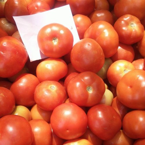 Fresh Red Tomato