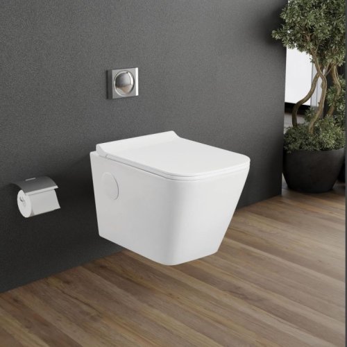 Rectangular Wall Mounted Toilet Seat