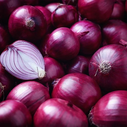 Organic Fresh Red Onion