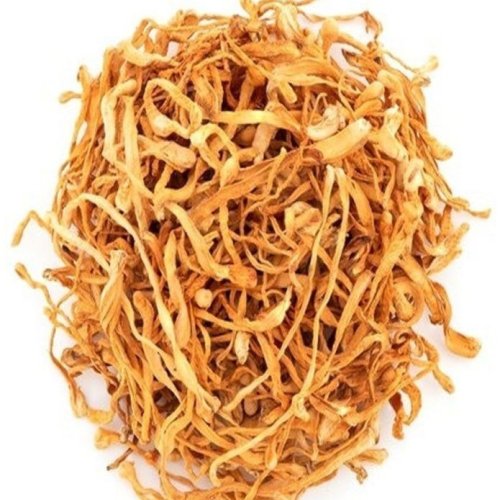 Dried Cordyceps Mushroom