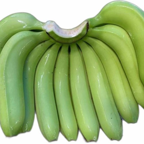 A Grade G9 Cavendish Banana