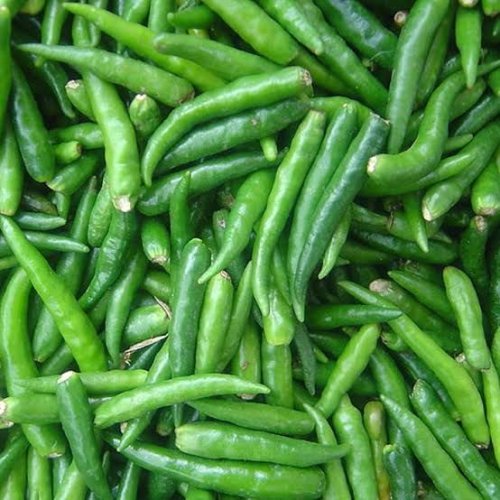 A Grade Fresh Green Chilli