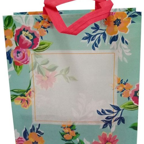 Non Woven Gift Bags