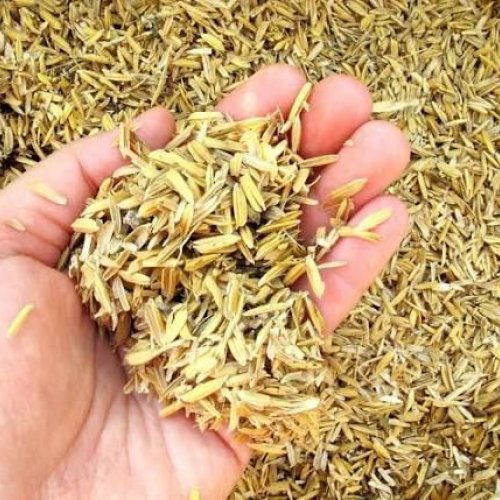 Brown Rice Husk