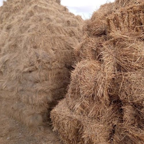Rice Straw