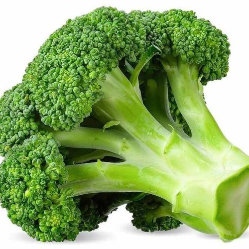 A Grade Fresh Organic Broccoli