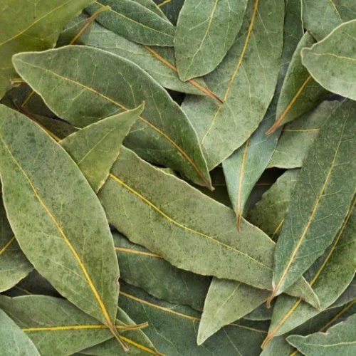 A Grade Organic Bay Leaves