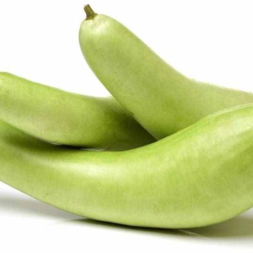 A Grade Organic Bottle Gourd