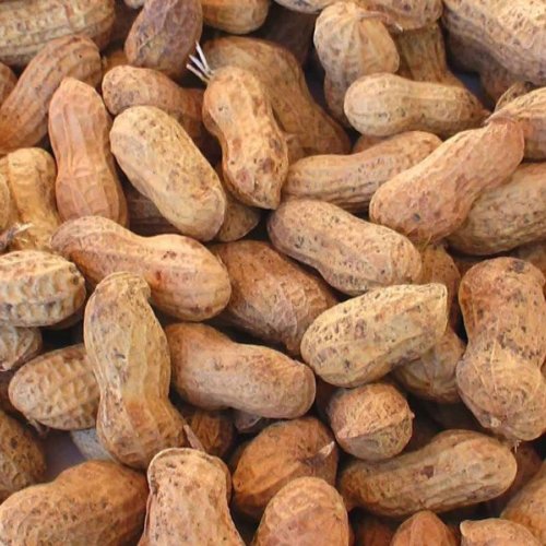 A Grade Organic Groundnut
