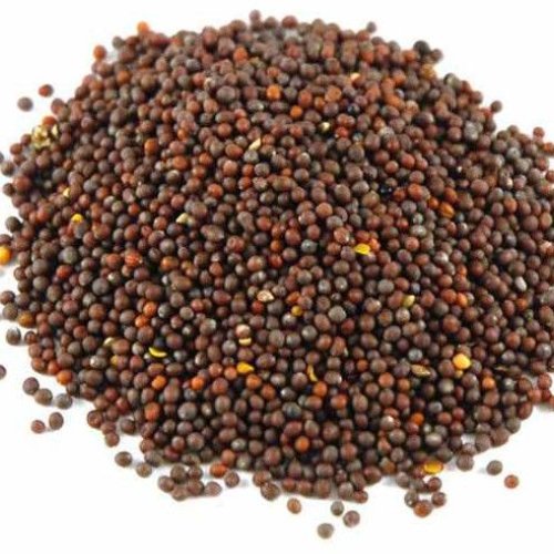A Grade Organic Mustard Seed