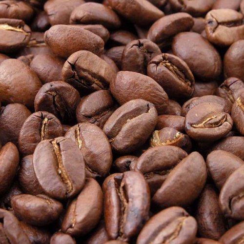 Organic Coffee Bean