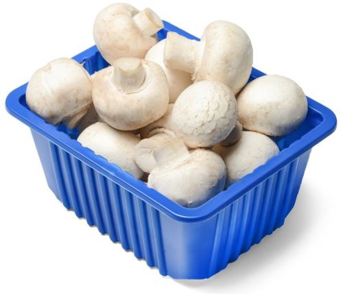 A Grade Button Mushroom